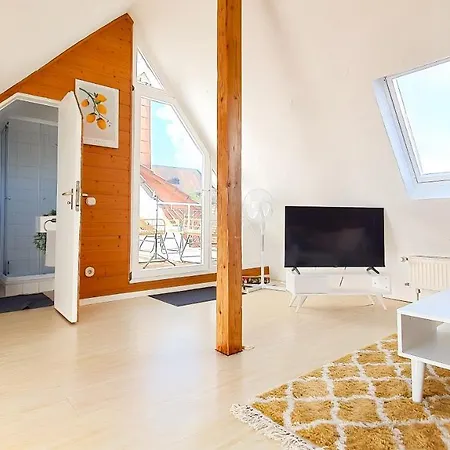 Romantic-apartment - Altbauflair Mit Dachterrasse & Waldblick, Maisonette, 80m2 Apartment