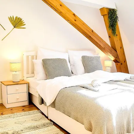 Romantic-apartment - Altbauflair Mit Dachterrasse & Waldblick, Maisonette, 80m2 * Annweiler am Trifels