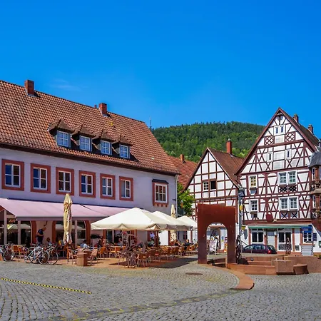 Apartment Romantic-apartment - Altbauflair Mit Dachterrasse & Waldblick, Maisonette, 80m2 Annweiler am Trifels