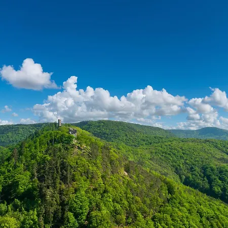 Romantic-apartment - Altbauflair Mit Dachterrasse&waldblick, Maisonette, 80m2 Annweiler am Trifels