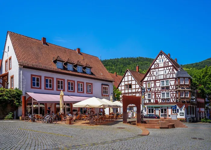 Daire Romantic-apartment - Altbauflair Mit Dachterrasse & Waldblick, Maisonette, 80m2 Annweiler am Trifels