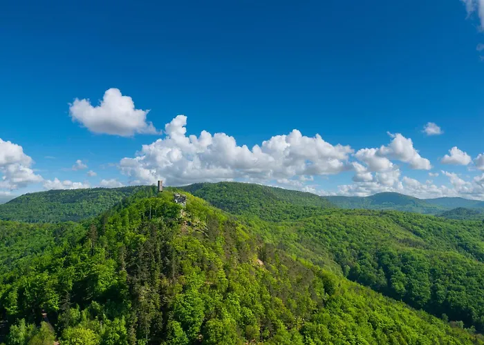 Romantic-apartment - Altbauflair Mit Dachterrasse & Waldblick, Maisonette, 80m2 Annweiler am Trifels